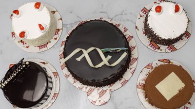 Cakery - Comilla