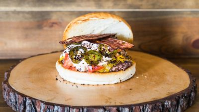 Tortuga Bay Burgers Ústí