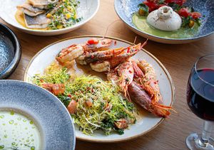 Vinograf | Senovážné