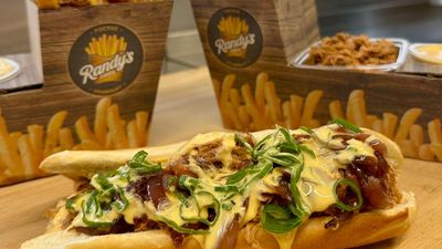 Randys Fries Svatopluka Čecha