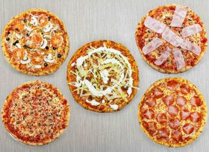 SKY WAY PIZZA & GRILL