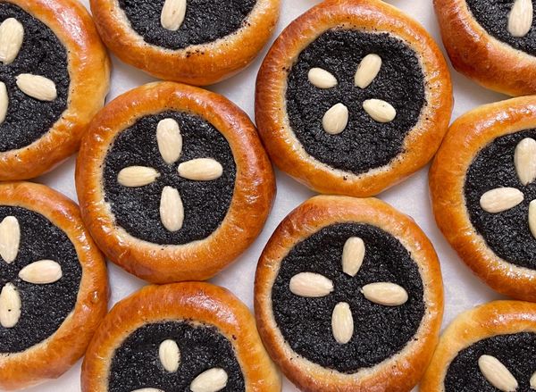 KOLACHERIE - KAMPUS HYBERNSKÁ