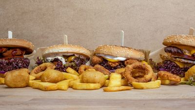Bizon Burger