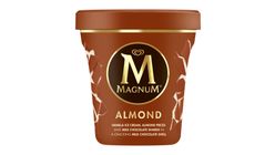 Magnum Ice cream almond | 440 ml