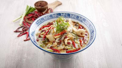 Sour Generation (Sour Fish)