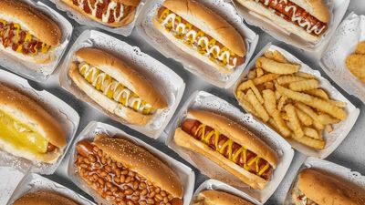 Burger Dog