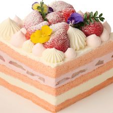 lifetastic-cake-image