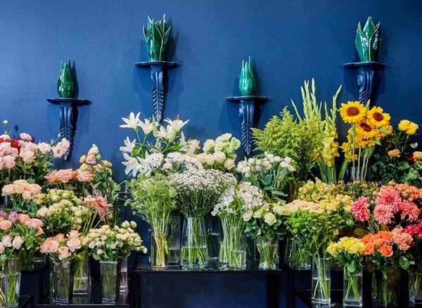 Sasplant Virágszalon