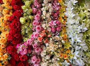 Sági Zsófia Florist