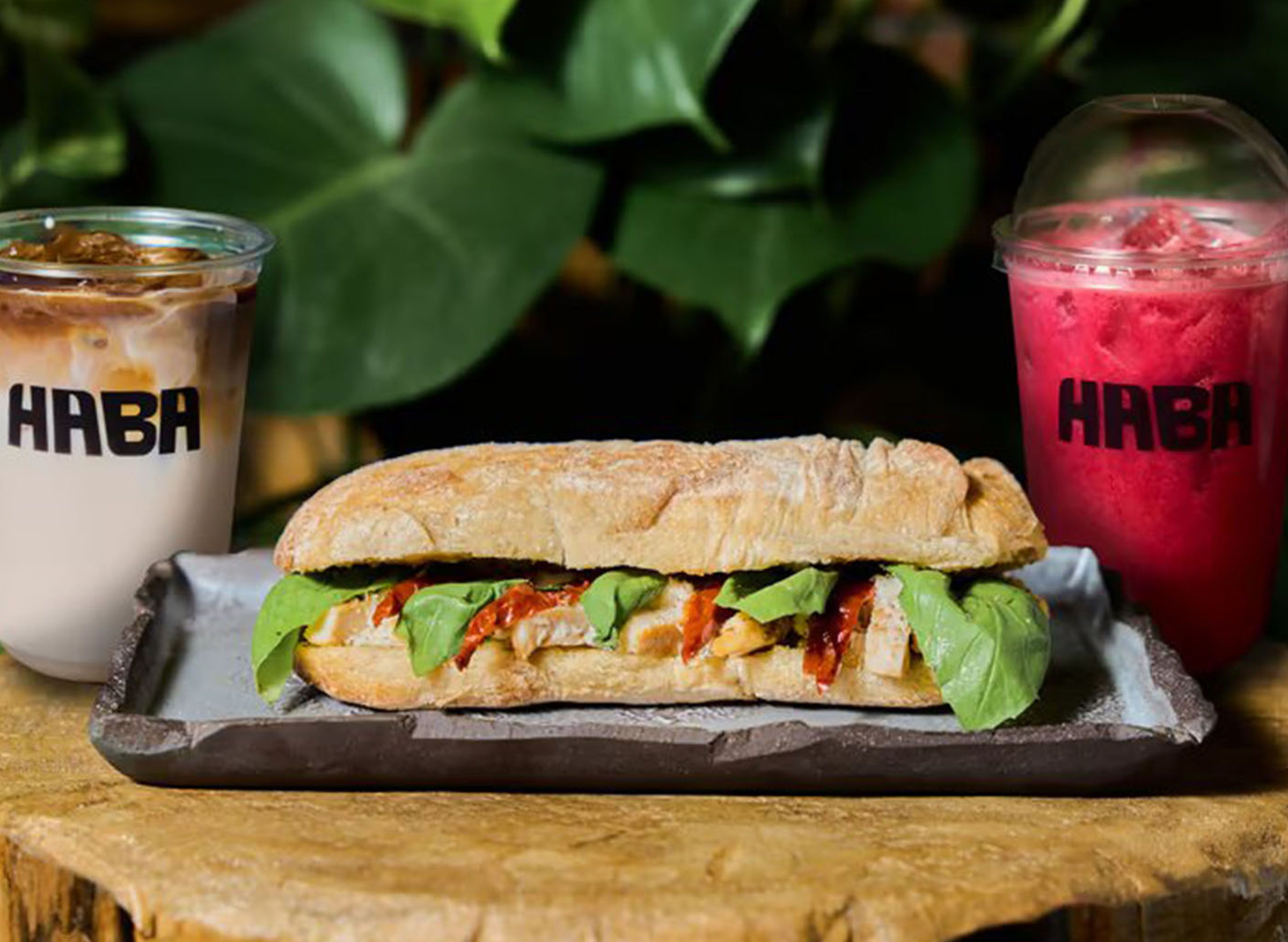 HABA JuiceBar