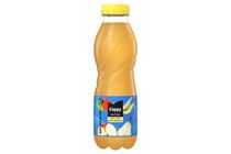 Cappy Ice Fruit Non-Carbonated Apple-Pear Drink with Elderflower Flavour 500 ml