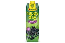 Rauch Happy Day Black Currant Nectar from Concentrate with Vitamin C 1 l