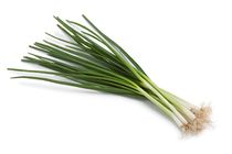 Spring onions 1 bunch