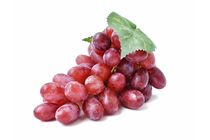 Grape rosé 500 g