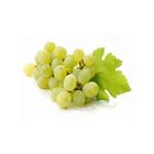 Csemege szőlő fehér 0.5kg (import)