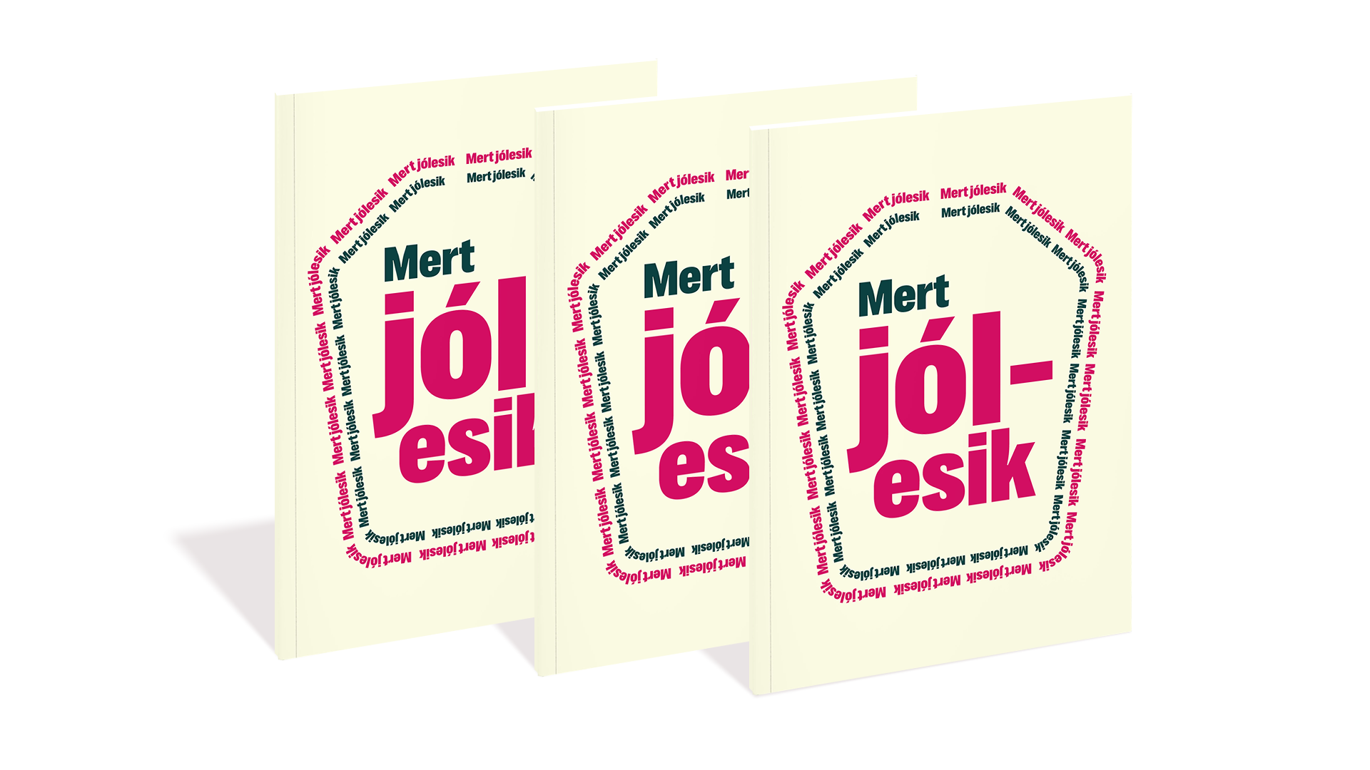 Mert jólesik - illusztrált szitugyűjtemény miértekre