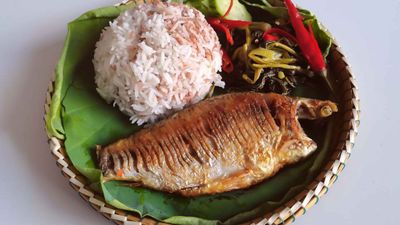 អ៊ីពៅផ្សារក្រឡុក (កំពង់ធំ)