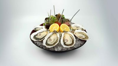 Oyster 99 (Tuek L'ak III)