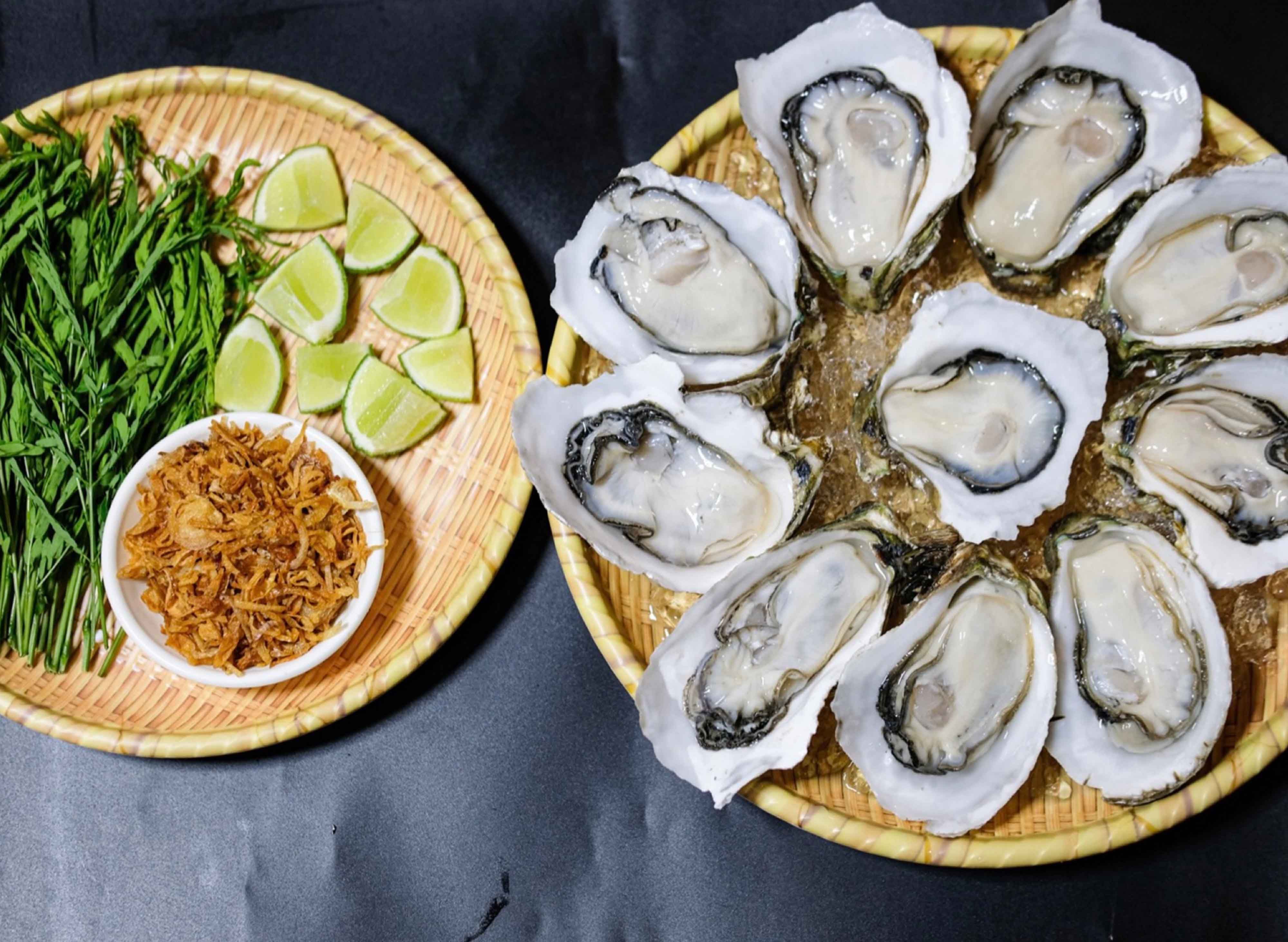 ដាលី អយស្ទ័រ (ក្រោយវ៉ាន់ដា) vendor logo