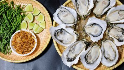 Daly Oyster (Behind Vanda)