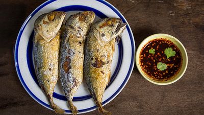 ປາທູໜື້ງສີວຽງທອງ