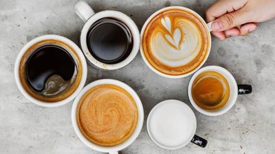 Mr. Coffee Freshly All Day