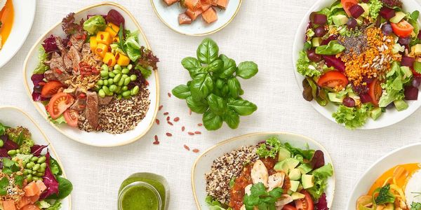 Dean & David Burggasse