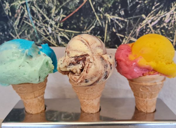 Paolo Bortolotti Thaliastraße