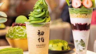 Shodai Matcha