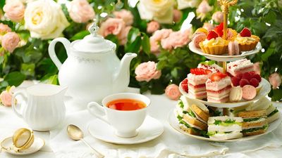 Cindy‘s Cake & Drink