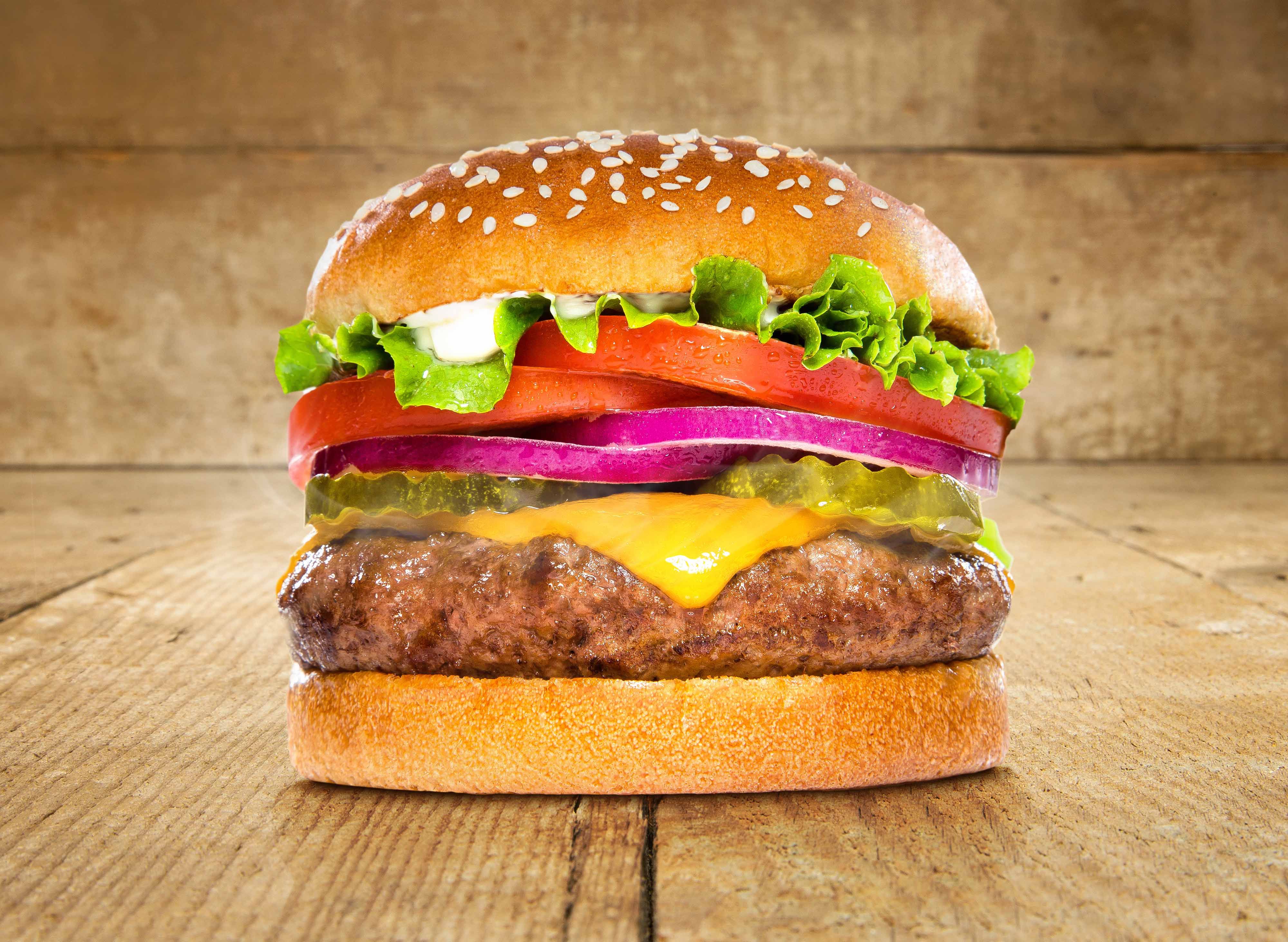 Mr Food - HALAL Burger vendor logo