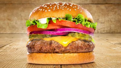 Mr Food - HALAL Burger