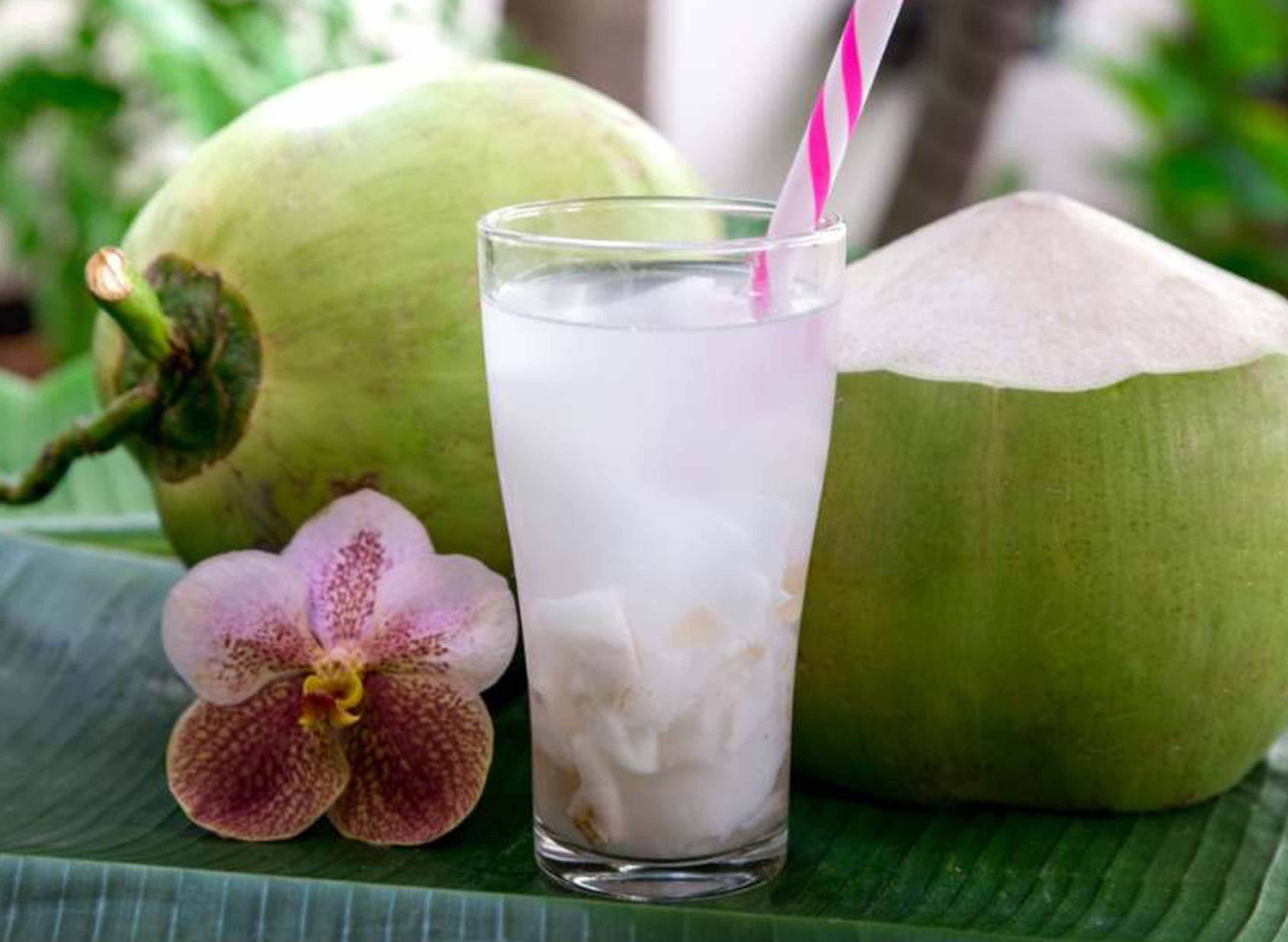 Pak Radzali Air Kelapa Menu In Nibong Tebal Food Delivery In Nibong Tebal Foodpanda