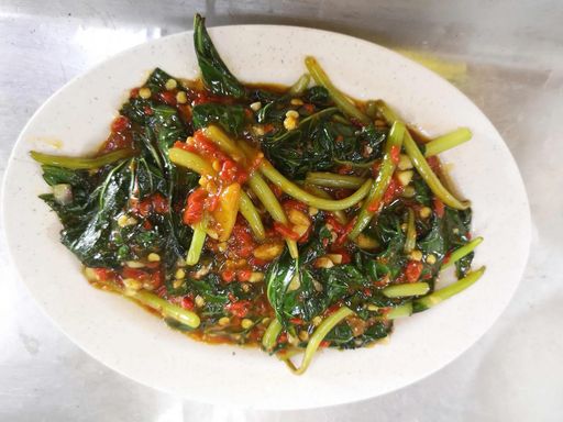 Paxta tayt kiygan qizlar