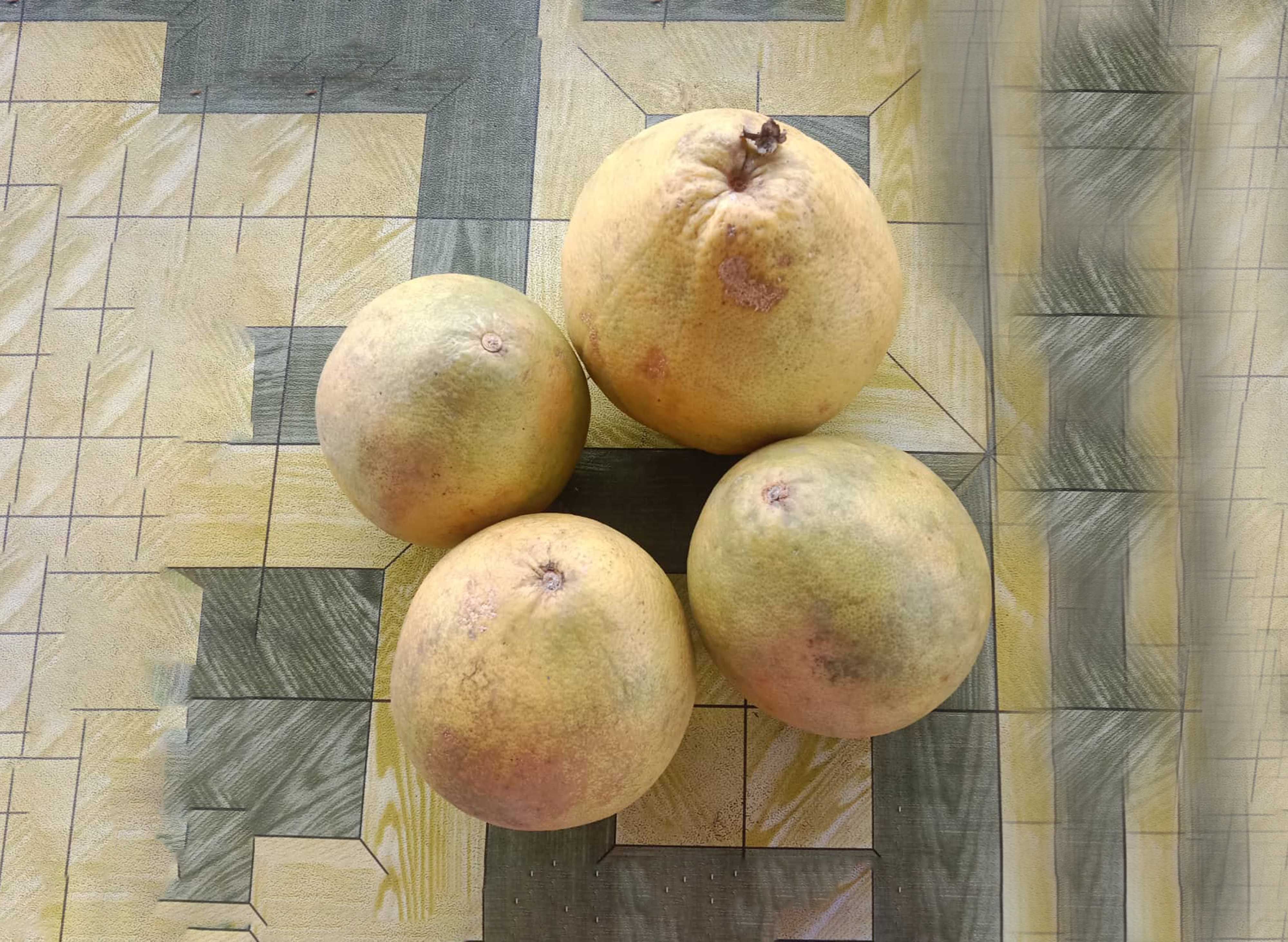 Kedai Daging Buah Dan Makanan Taf (Kuala Nerang) vendor logo