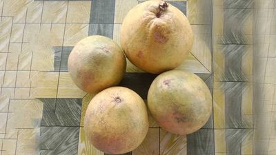 Kedai Daging Buah Dan Makanan Taf (Kuala Nerang)