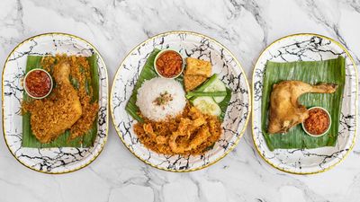 Ayam Penyet D'Kota (Tropicana Gardens Mall)