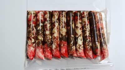 Ice Cream QNaira RESOURCES (Bukit Tinggi)