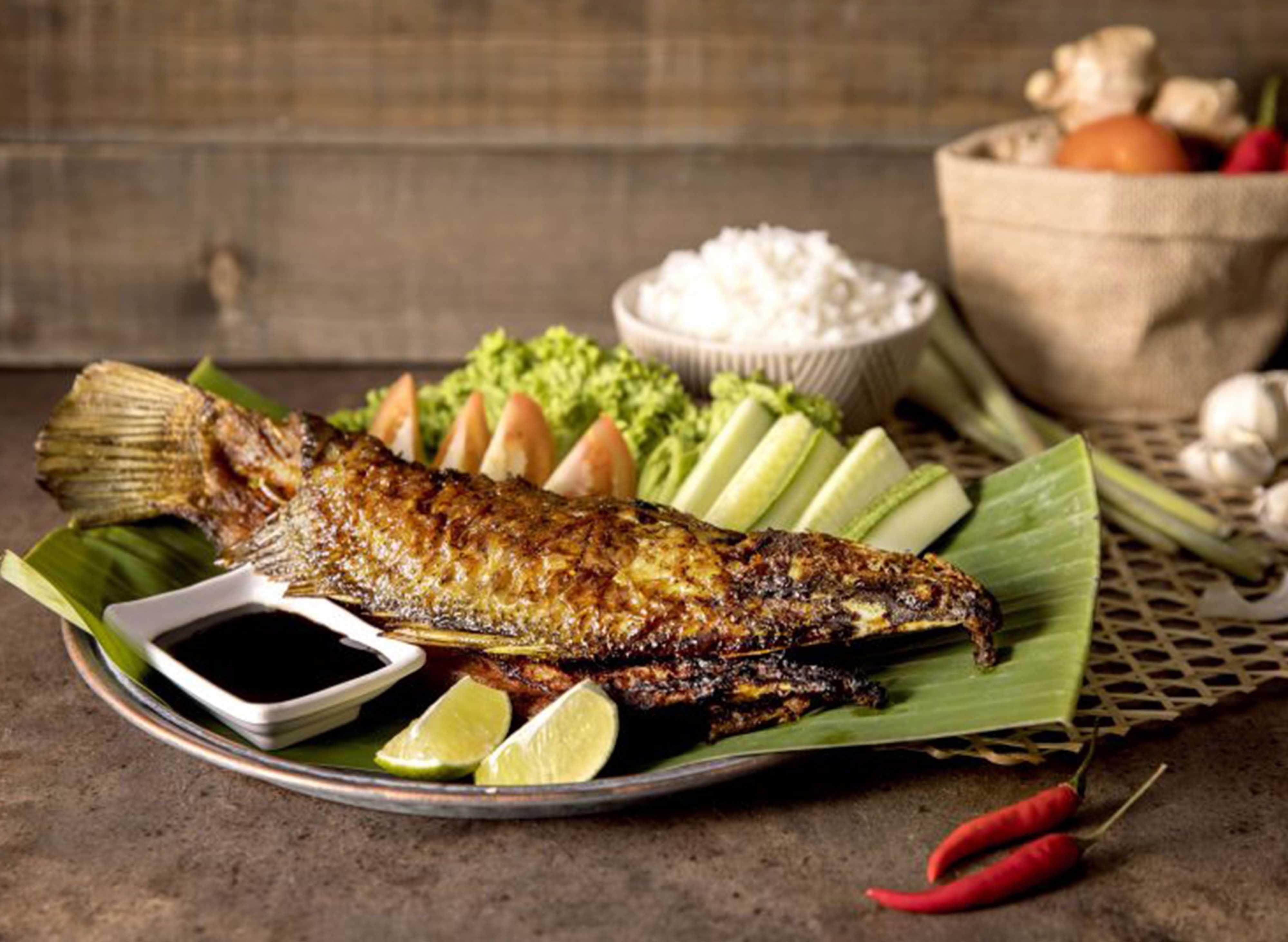 Port Ikan Bakar (Kuala Berang) vendor logo