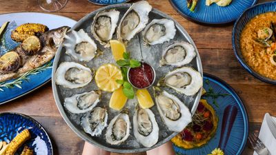 SHUCKED (Gardens)