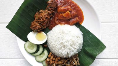 Nora Nasi Lemak