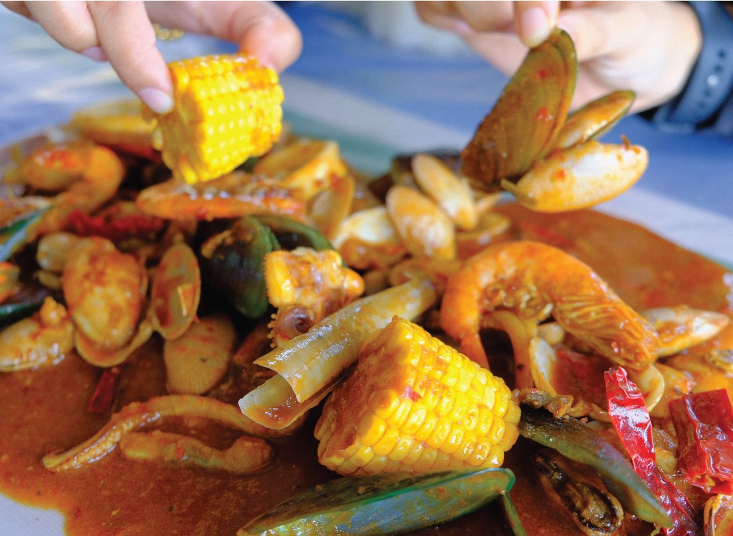 Shellout Dapur D Nelayan menu in Alor Gajah Food delivery in Alor