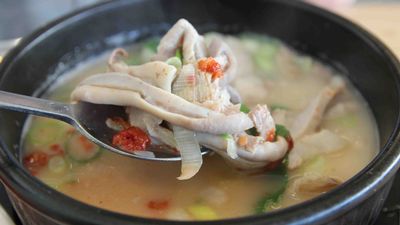 JOO NUTRITIOUS HERBAL HOT SOUP