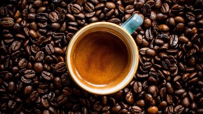 1993 Coffee Street