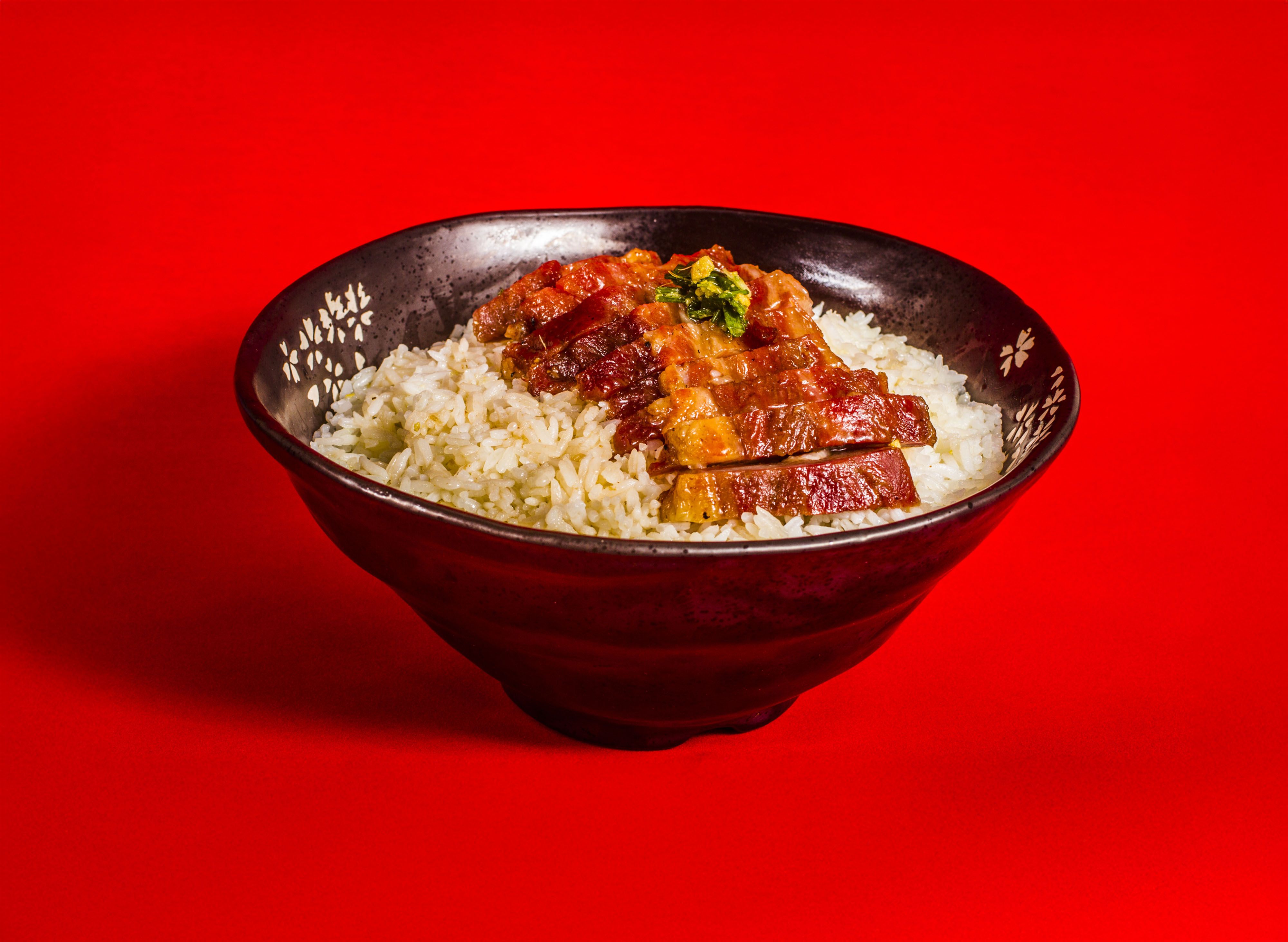 Hai Nam Roasted Pork Chicken Duck Rice (Raja Uda Apollo Wet Market) vendor logo