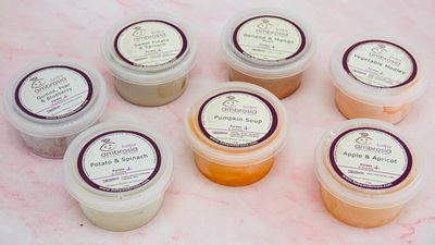 Baby Ambrosia Frozen Baby & Toddler Food