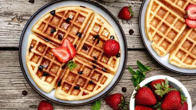 CLASSIC WAFFLE SCIENTEX