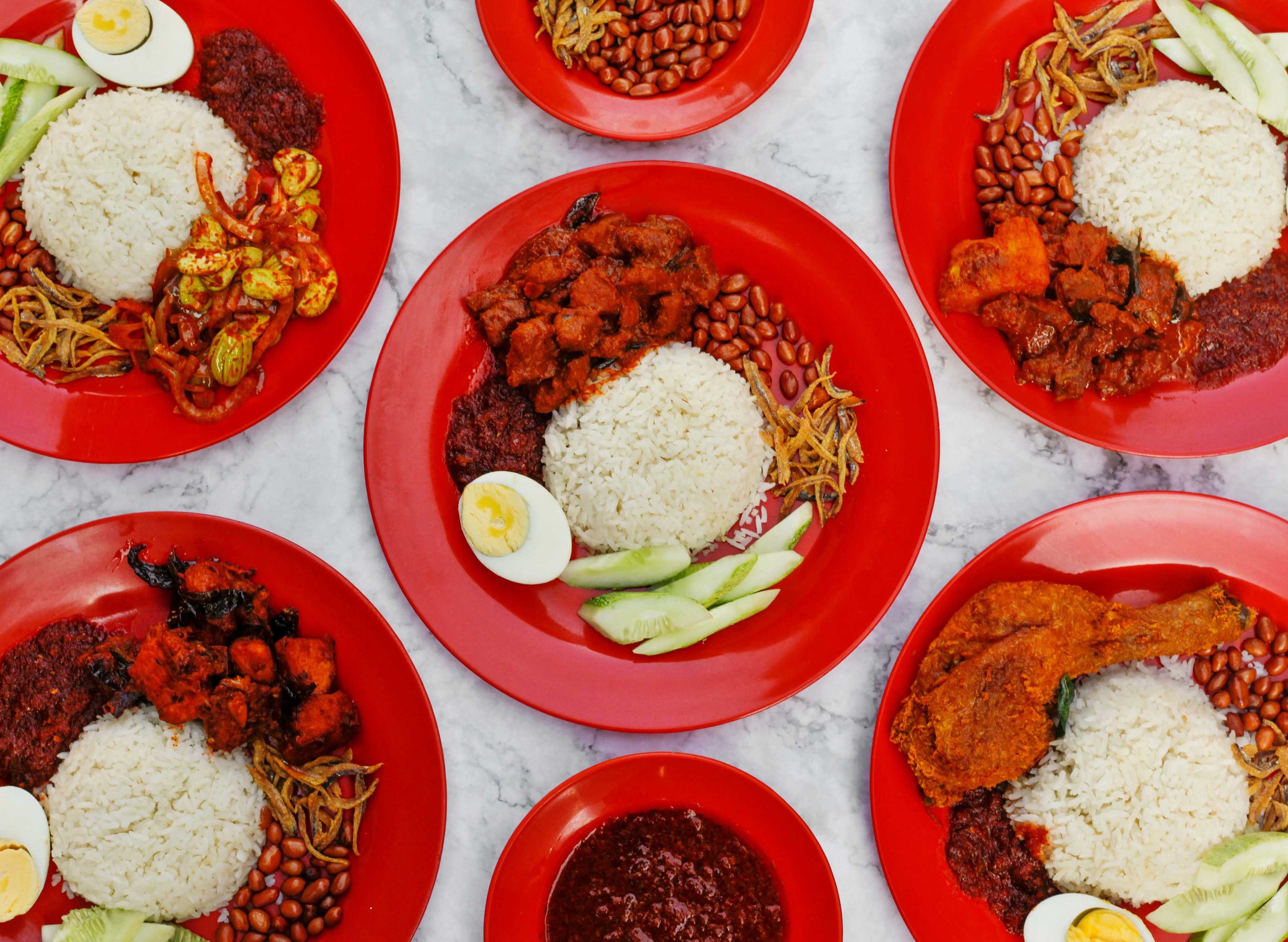 Nasi lemak wild boar