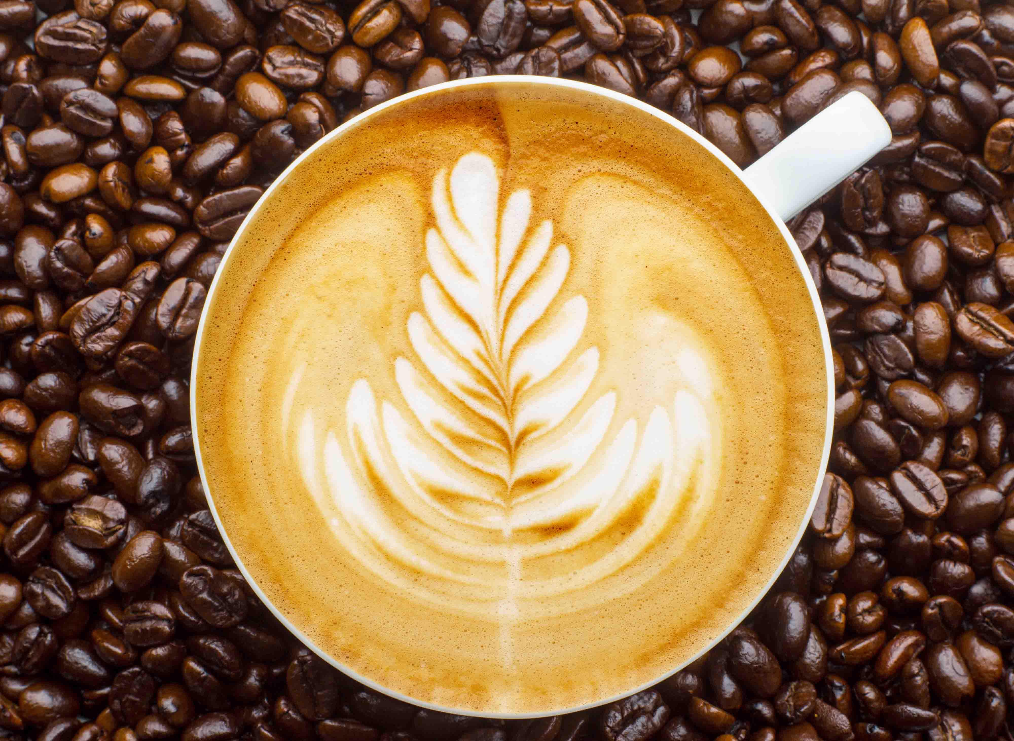 Reframe Coffee Roasters vendor logo