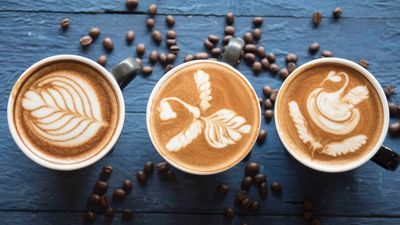 Anis Coffee Frendly Town